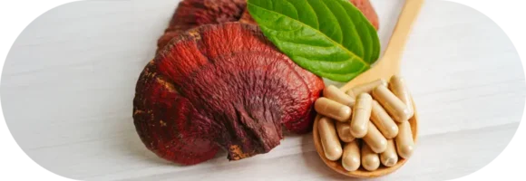 reishi